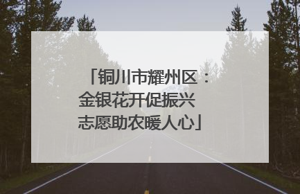 铜川市耀州区：金银花开促振兴 志愿助农暖人心