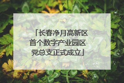 长春净月高新区首个数字产业园区党总支正式成立