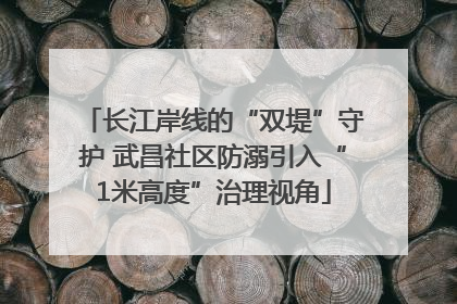 长江岸线的“双堤”守护 武昌社区防溺引入“1米高度”治理视角