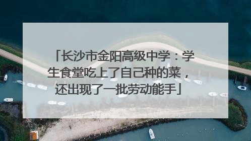 长沙市金阳高级中学：学生食堂吃上了自己种的菜，还出现了一批劳动能手