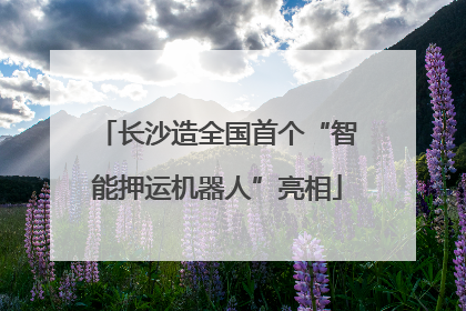 长沙造全国首个“智能押运机器人”亮相