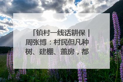 镇村一线话耕保｜周张博：村民但凡种树、建棚、盖房，都要向街道报批