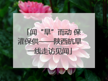 闻“旱”而动 保灌保供——陕西抗旱一线走访见闻