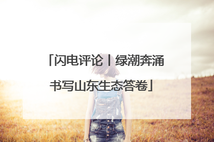 闪电评论丨绿潮奔涌 书写山东生态答卷