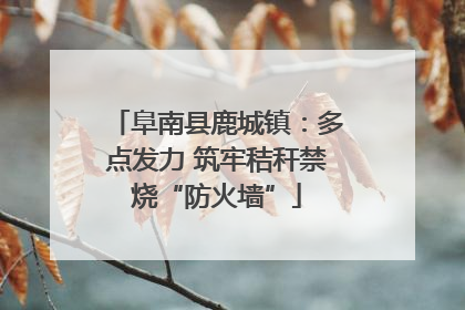 阜南县鹿城镇：多点发力 筑牢秸秆禁烧“防火墙”