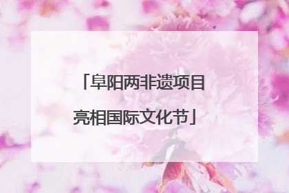 阜阳两非遗项目亮相国际文化节