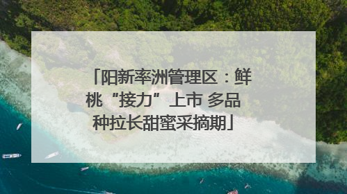 阳新率洲管理区：鲜桃“接力”上市 多品种拉长甜蜜采摘期