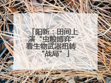 阳新：田间上演“虫粮博弈”看生物武器扭转“战局”