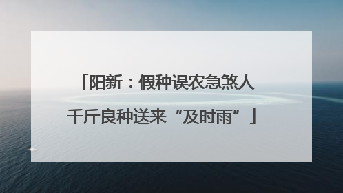 阳新：假种误农急煞人 千斤良种送来“及时雨”