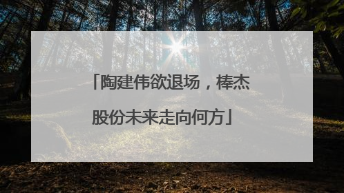 陶建伟欲退场，棒杰股份未来走向何方