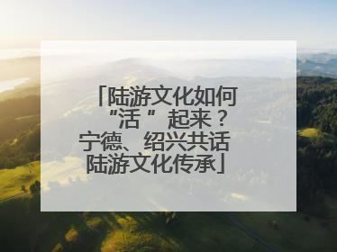 陆游文化如何“活 ”起来？宁德、绍兴共话陆游文化传承