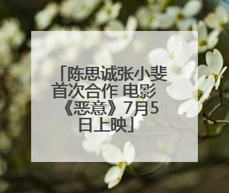 陈思诚张小斐首次合作 电影《恶意》7月5日上映