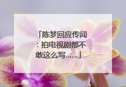 陈梦回应传闻：拍电视剧都不敢这么写……