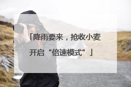 降雨要来，抢收小麦开启“倍速模式”