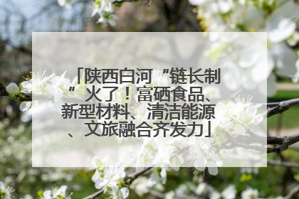 陕西白河“链长制”火了！富硒食品、新型材料、清洁能源、文旅融合齐发力