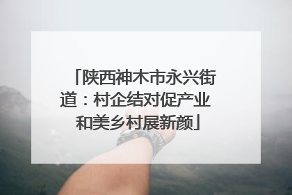 陕西神木市永兴街道：村企结对促产业 和美乡村展新颜