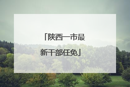 陕西一市最新干部任免