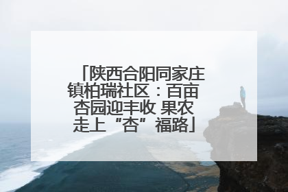 陕西合阳同家庄镇柏瑞社区：百亩杏园迎丰收 果农走上“杏”福路