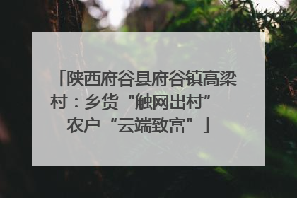陕西府谷县府谷镇高梁村：乡货“触网出村” 农户“云端致富”