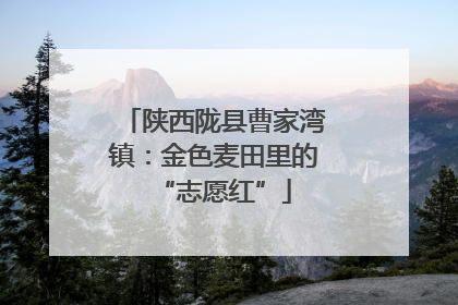 陕西陇县曹家湾镇：金色麦田里的“志愿红”