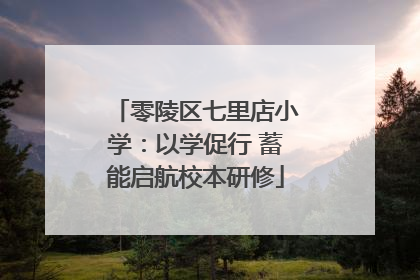 零陵区七里店小学：以学促行 蓄能启航校本研修