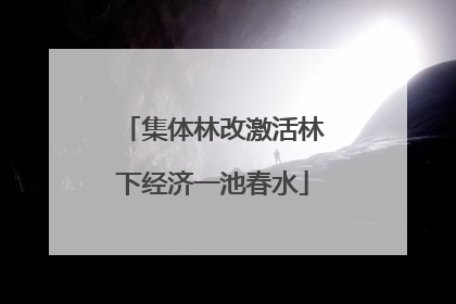 集体林改激活林下经济一池春水