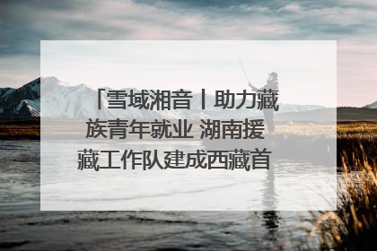 雪域湘音丨助力藏族青年就业 湖南援藏工作队建成西藏首个清洁能源装备园