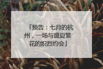 预告：七月的杭州，一场与盛夏繁花的炽烈约会
