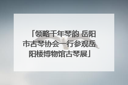 领略千年琴韵 岳阳市古琴协会一行参观岳阳楼博物馆古琴展