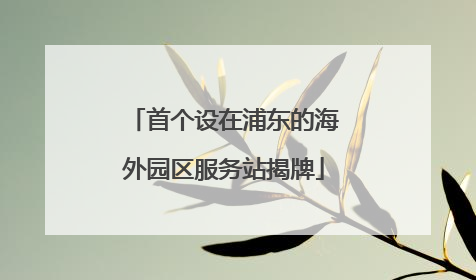 首个设在浦东的海外园区服务站揭牌