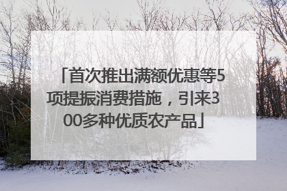 首次推出满额优惠等5项提振消费措施，引来300多种优质农产品