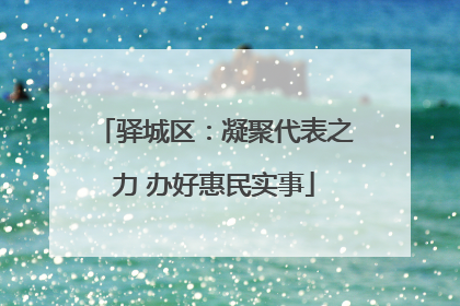 驿城区：凝聚代表之力 办好惠民实事