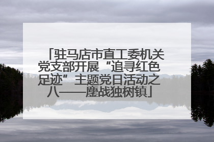驻马店市直工委机关党支部开展“追寻红色足迹”主题党日活动之八——鏖战独树镇