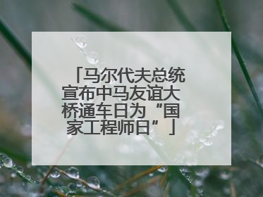 马尔代夫总统宣布中马友谊大桥通车日为“国家工程师日”