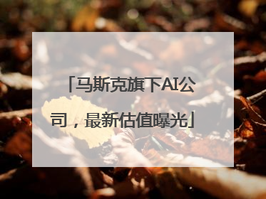 马斯克旗下AI公司，最新估值曝光