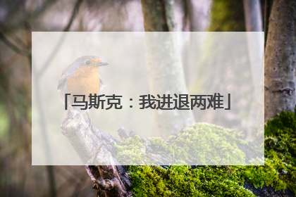 马斯克：我进退两难