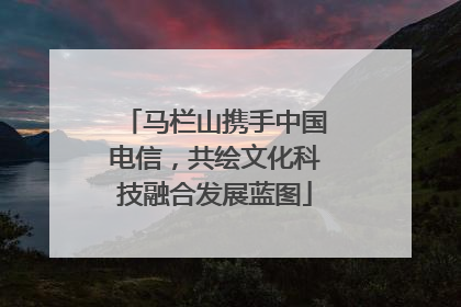马栏山携手中国电信，共绘文化科技融合发展蓝图