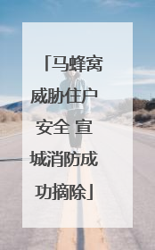 马蜂窝威胁住户安全 宣城消防成功摘除