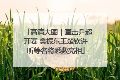 高清大图｜直击乒超开赛 樊振东王楚钦许昕等名将悉数亮相