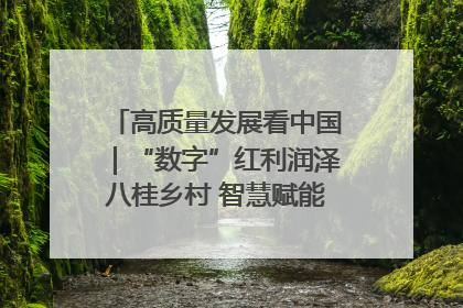 高质量发展看中国｜“数字”红利润泽八桂乡村 智慧赋能绘就振兴画卷