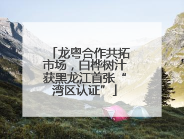 龙粤合作共拓市场，白桦树汁获黑龙江首张“湾区认证”
