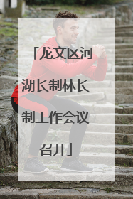 龙文区河湖长制林长制工作会议召开