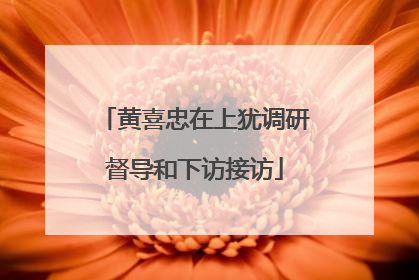 黄喜忠在上犹调研督导和下访接访