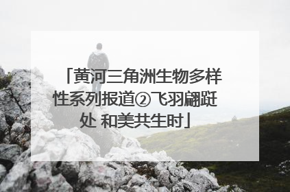 黄河三角洲生物多样性系列报道②飞羽翩跹处 和美共生时