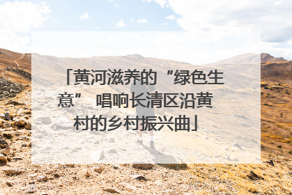 黄河滋养的“绿色生意” 唱响长清区沿黄村的乡村振兴曲