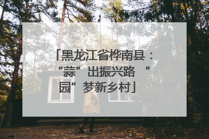 黑龙江省桦南县：“蒜”出振兴路 “园”梦新乡村