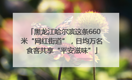 黑龙江哈尔滨这条660米“网红街道”，日均万名食客共享“平安滋味”