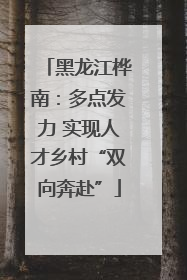 黑龙江桦南：多点发力 实现人才乡村“双向奔赴”