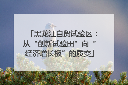 黑龙江自贸试验区：从“创新试验田”向“经济增长极”的质变