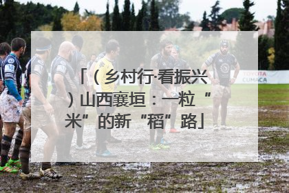 （乡村行·看振兴）山西襄垣：一粒“米”的新“稻”路